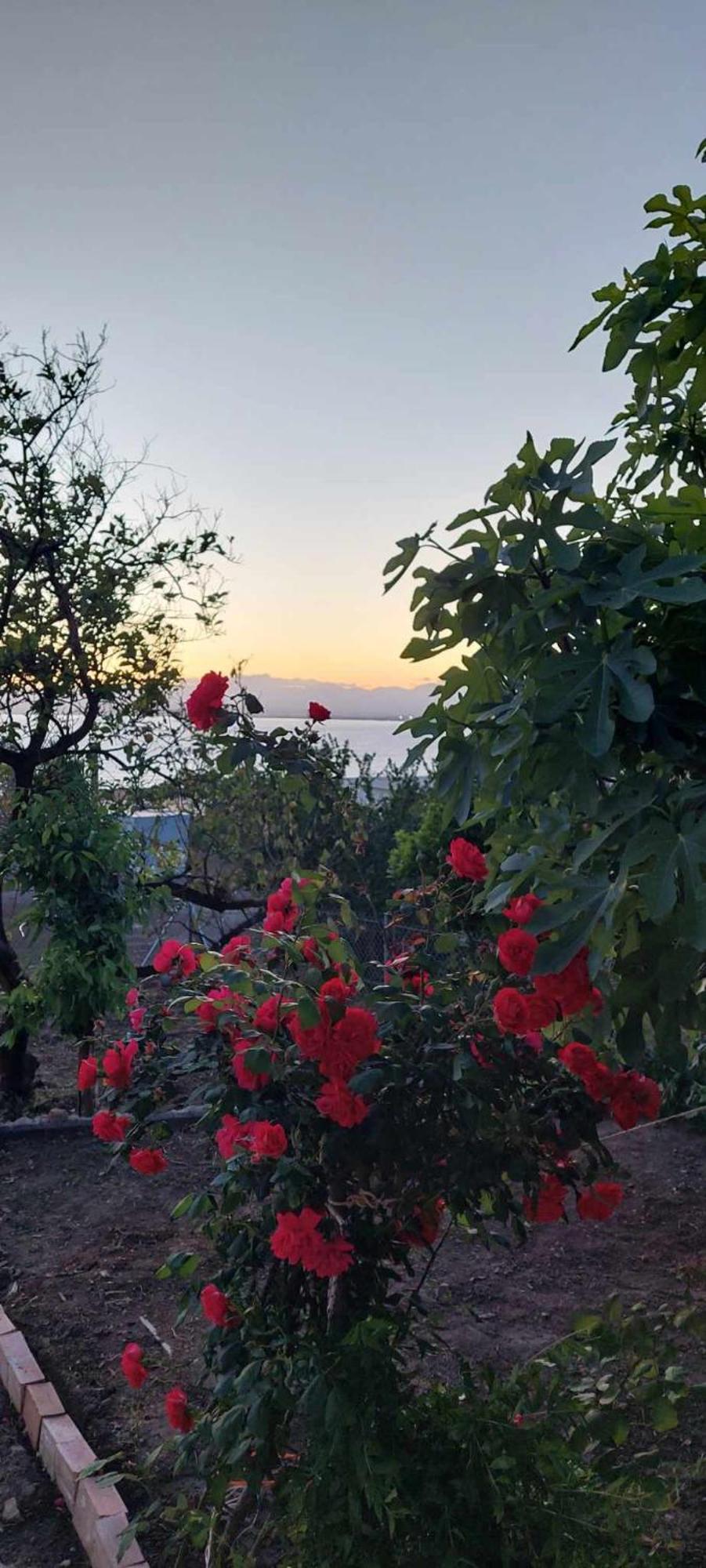 Panorama Studio Kalamata Exterior foto
